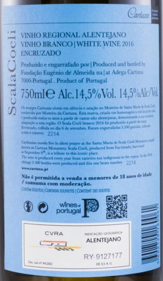 2016 Scala Coeli Encruzado branco
