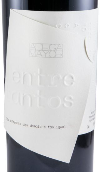 2013 Adega Mayor Entretantos red