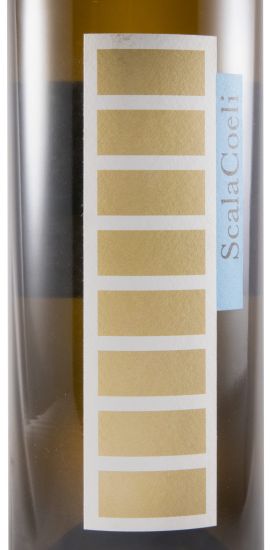 2008 Scala Coeli branco