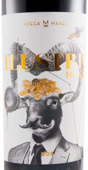 2019 Marel Ilustre red