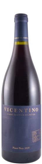 2019 Vicentino Pinot Noir red
