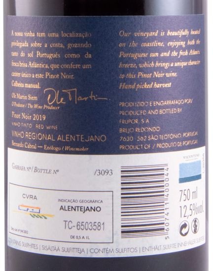 2019 Vicentino Pinot Noir red