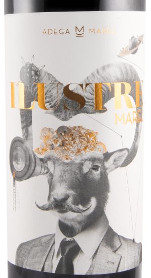 2020 Marel Ilustre tinto