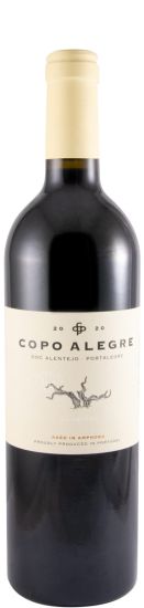 2020 Niepoort Copo Alegre Vinhas Velhas tinto