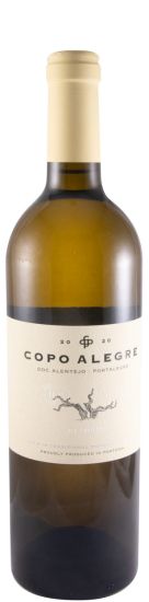 2020 Niepoort Copo Alegre Vinhas Velhas branco