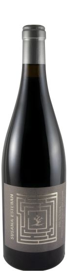 2019 Susana Esteban Procura red
