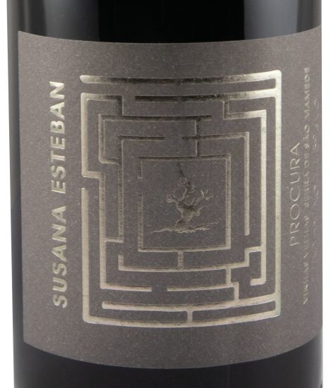 2019 Susana Esteban Procura red