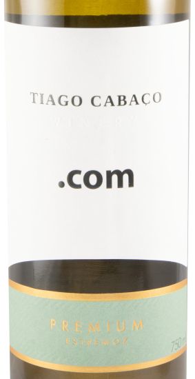 2024 Tiago Cabaço .Com Premium white