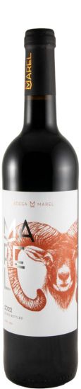 2022 Marel red