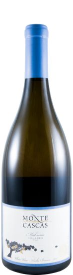 2013 Monte Cascas Malvasia white