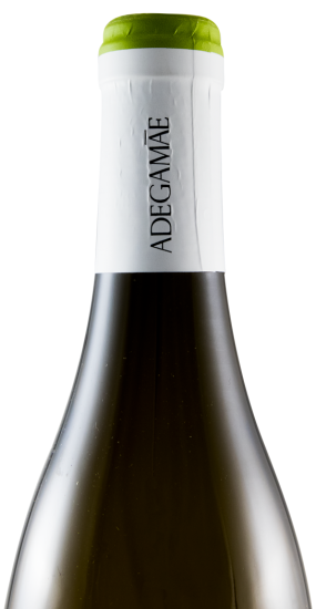 2016 Adega Mãe Chardonnay branco
