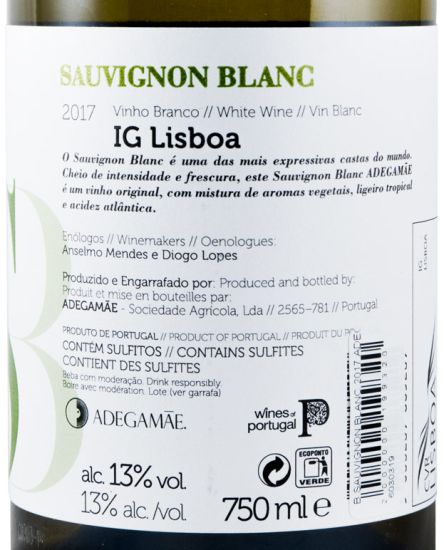 2017 Adega Mãe Sauvignon Blanc white