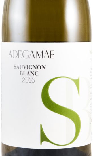 2016 Adega Mãe Sauvignon Blanc white