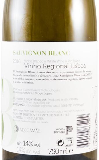 2016 Adega Mãe Sauvignon Blanc white
