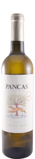 2020 Pancas branco