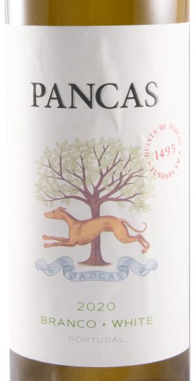 2020 Pancas branco