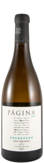 2022 Página Encruzado white