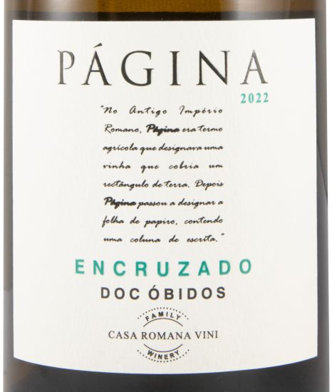 2022 Página Encruzado white