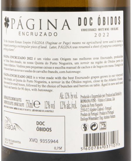 2022 Página Encruzado white