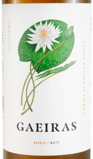 2024 Gaeiras branco