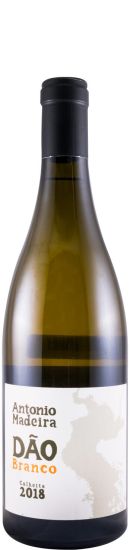 2018 António Madeira branco