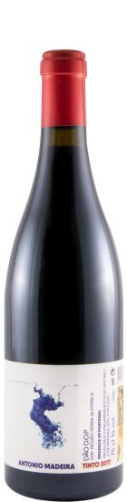 2017 António Madeira red
