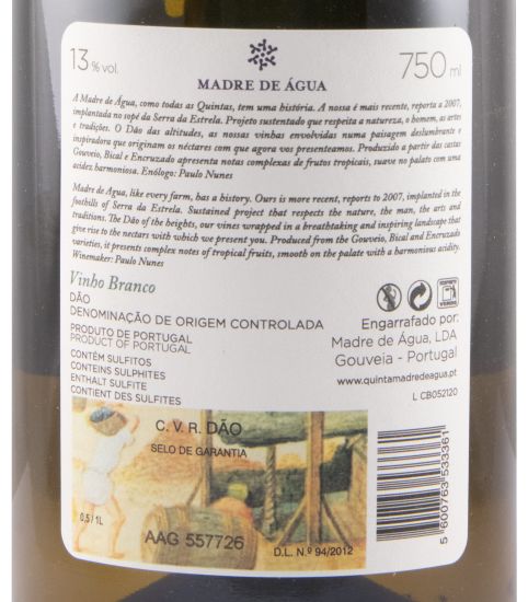 2020 Madre de Água Terras white