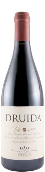 2019 Druida red