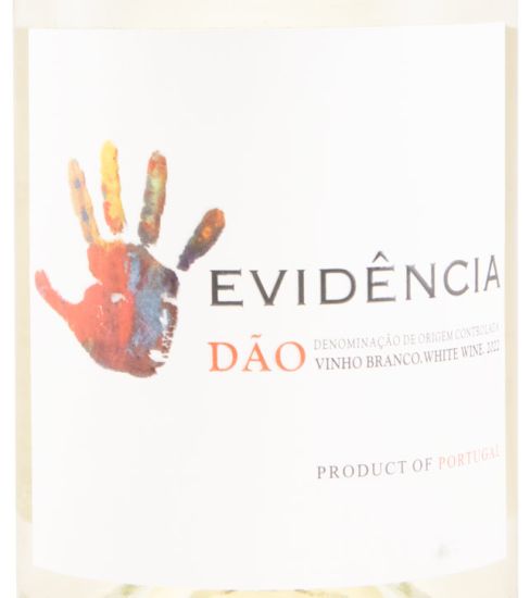 2022 Evidência white