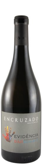 2023 Evidência Encruzado Reserva branco