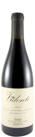 2022 Vidente tinto