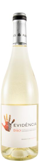 2023 Evidência white