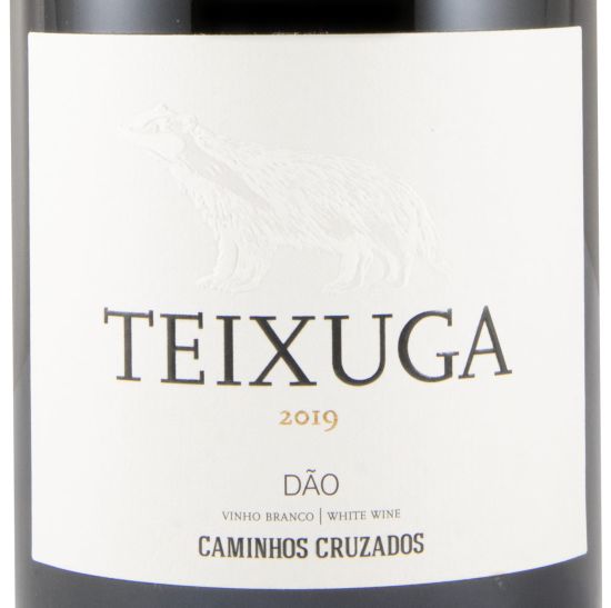 2019 Teixuga white