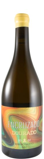 2022 Ribeiro Santo Encruzado Dourado branco