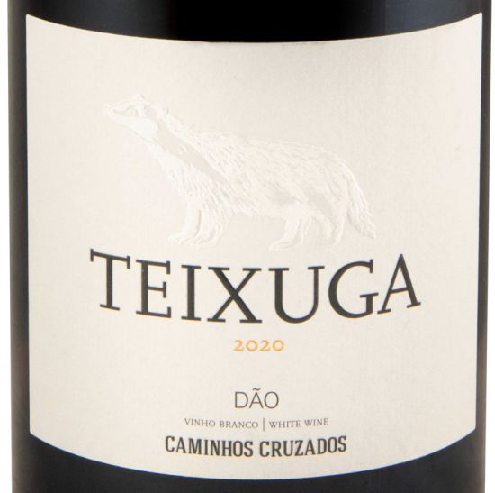 2020 Teixuga white