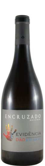 2025 Evidência Encruzado Reserva white