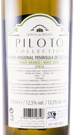 2018 Piloto Collection Síria branco