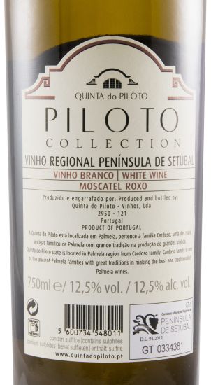 2020 Piloto Collection Roxo white