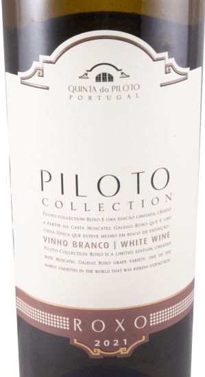2021 Piloto Collection Roxo branco