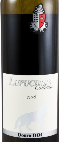 2016 Lupucinus white