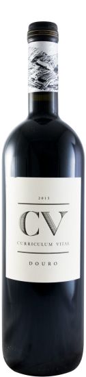 2015 Curriculum Vitae tinto