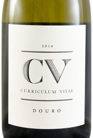 2016 Curriculum Vitae branco