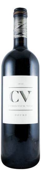 2010 Curriculum Vitae tinto