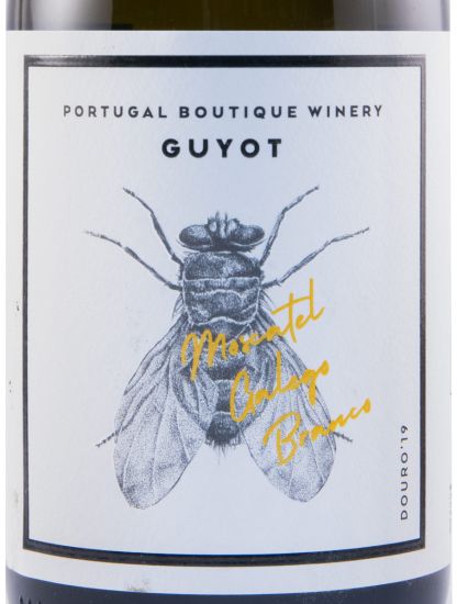2019 Guyot Moscatel Galego white
