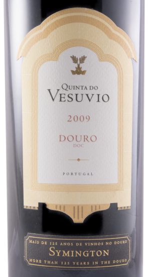 2009 Quinta do Vesuvio tinto