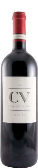 2009 Curriculum Vitae tinto