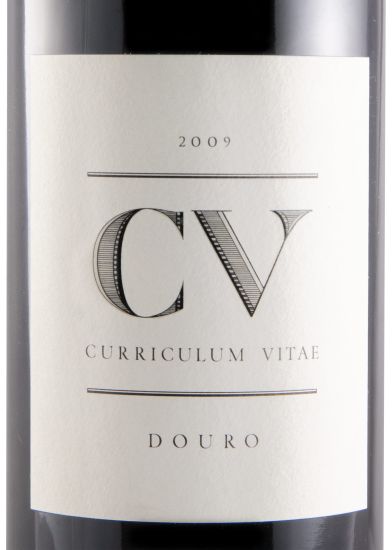 2009 Curriculum Vitae tinto
