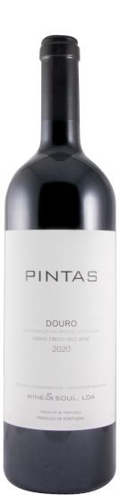 2020 Pintas red