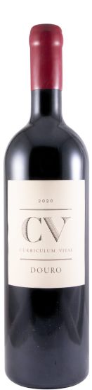 2020 Curriculum Vitae tinto