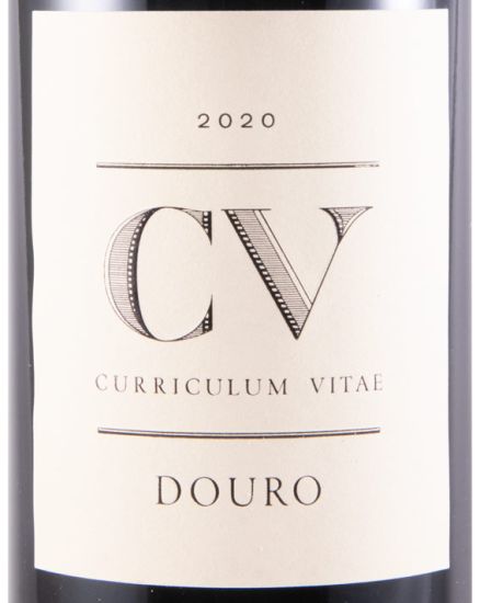 2020 Curriculum Vitae tinto